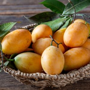 Marian Plum