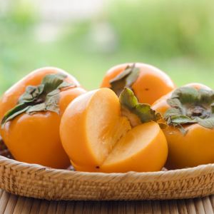Persimmon